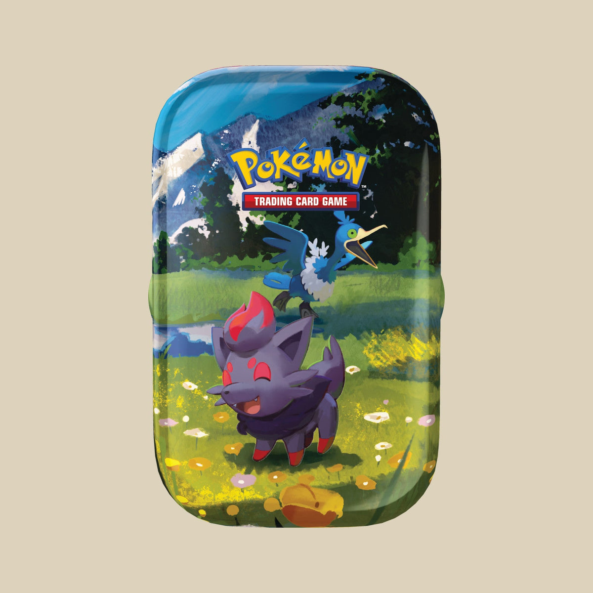 Pokémon TCG Mega Evolution Ascended Heroes Mini Tin mit Zorua in Englisch